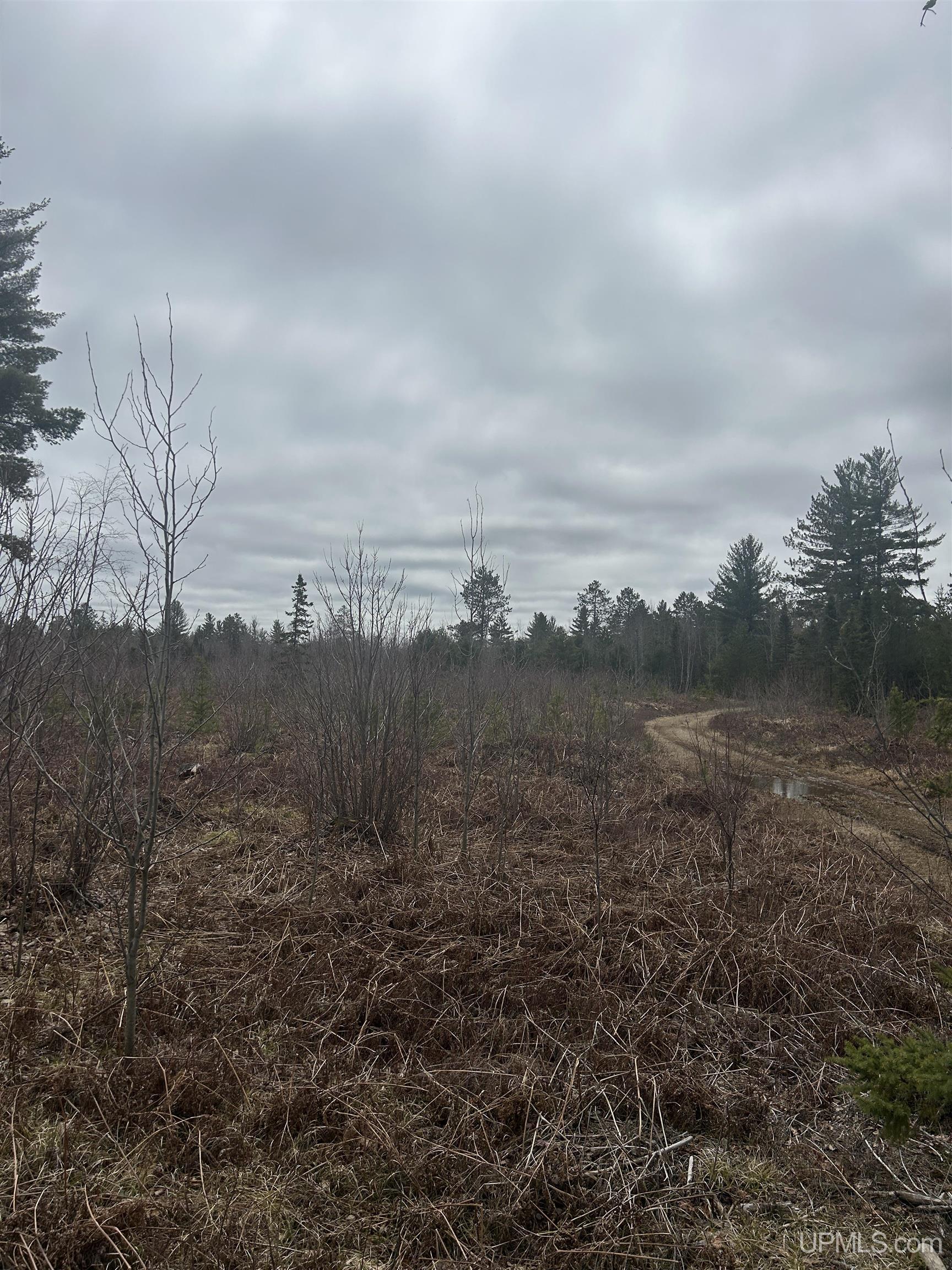 Parcel 1-off Parcel 1-off Johnson Lake Road Gwinn, MI 49841 - Photo 3 of 8