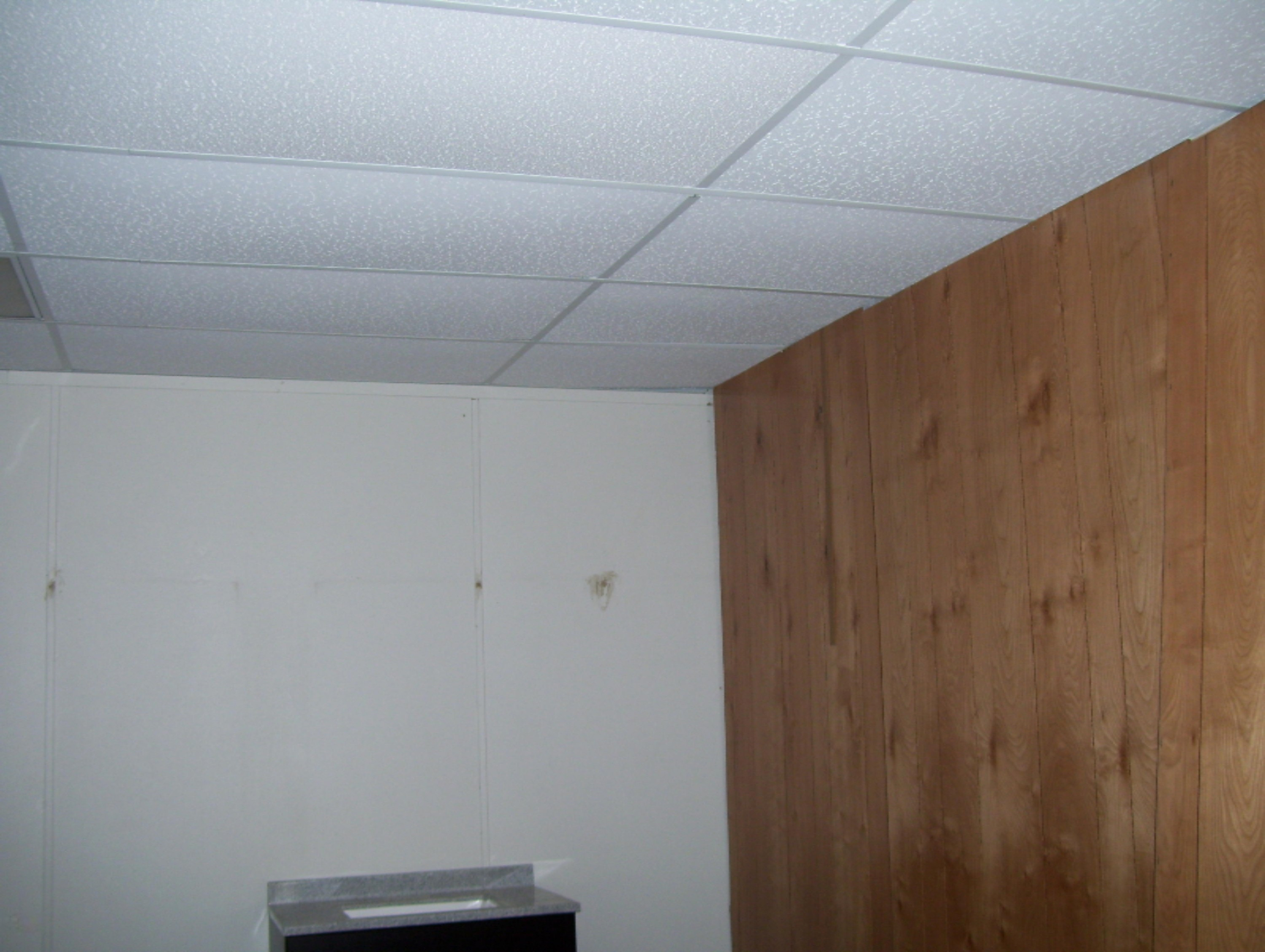 4785 North Kelso Road North Adams, MI 49262 - Photo 4 of 7 Ingram 005