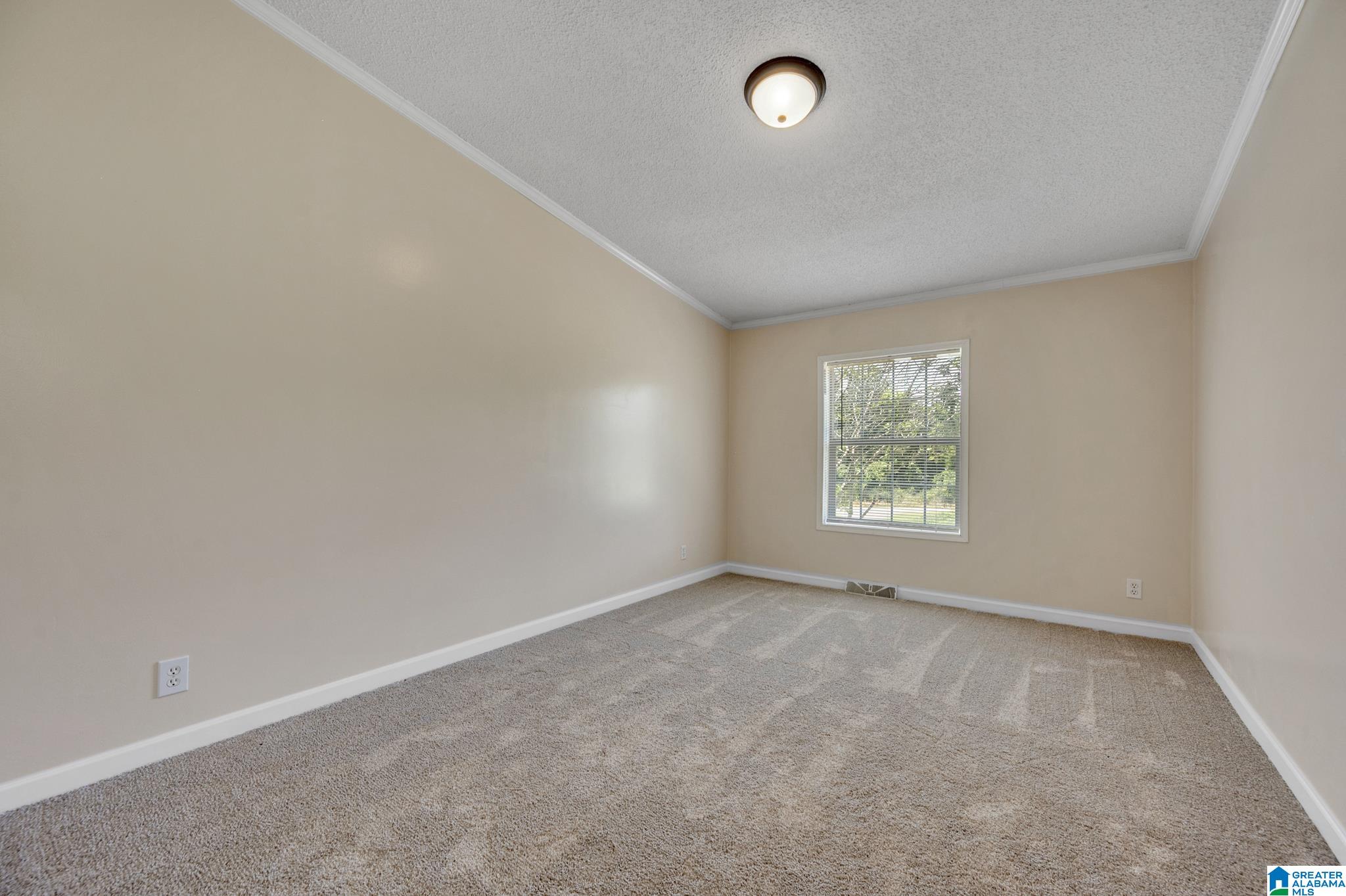 7681 Thed Brasfield Road Dora, AL 35062 - Photo 29 of 36