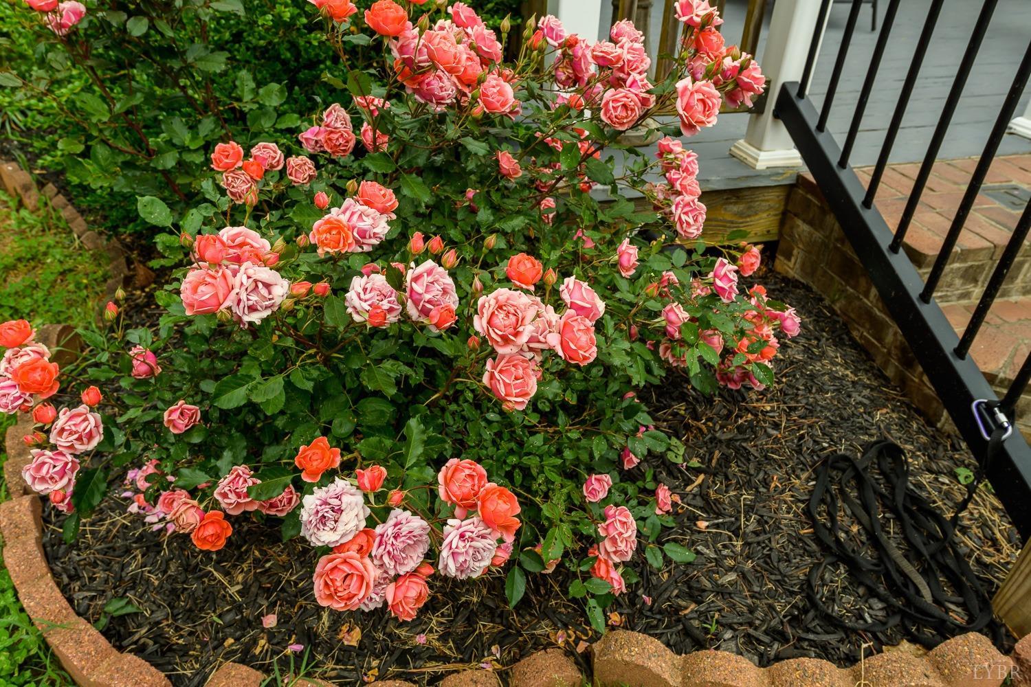 893 Bobwhite Road Amherst, VA 24521 - Photo 41 of 47 Gallery Image 41
