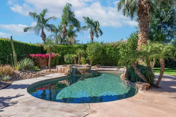 a view of a backyard with plants and palm tree