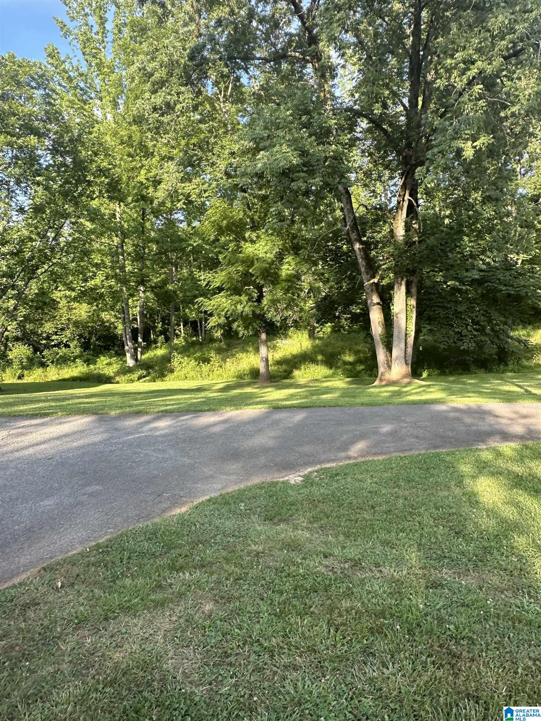 2300 County Road 129 Ranburne, AL 36273 - Photo 4 of 30