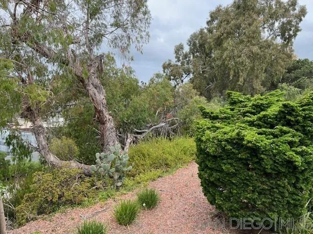 9564 Easter Way San Diego, CA 92121 - Photo 12 of 16 a view of a garden with plants and large trees