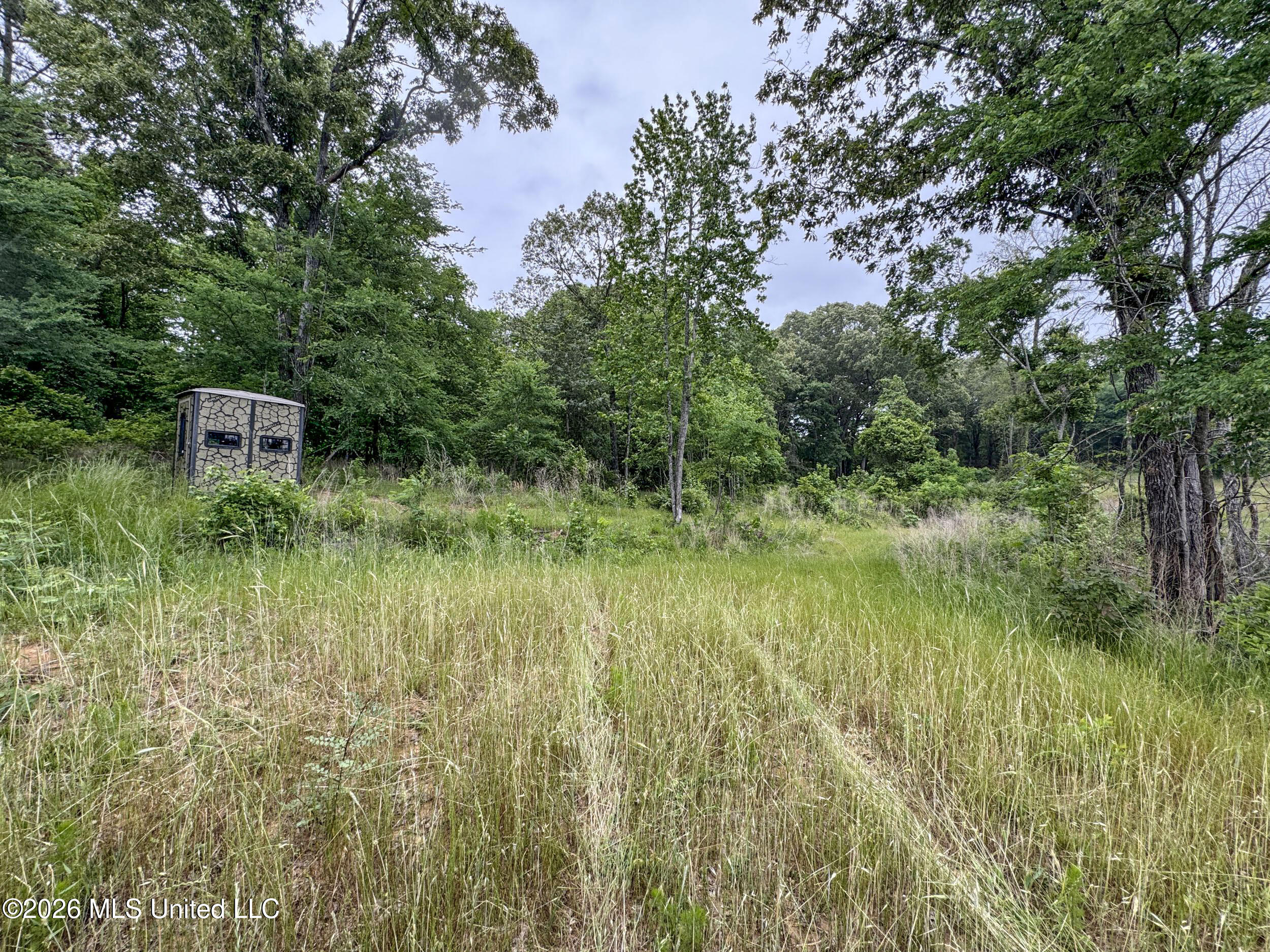 Wayne Massie Road Como, MS 38619 - Photo 182 of 184 5cdtbs132