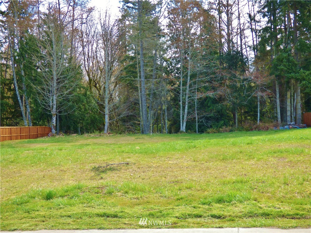 9999 Rook Drive Port Angeles, WA 98362 - Photo 5 of 5 Gallery Image 5
