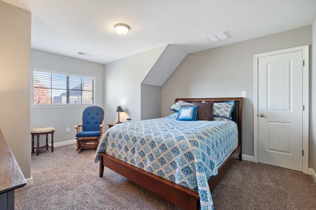 a view of a backyard with a garden and plants