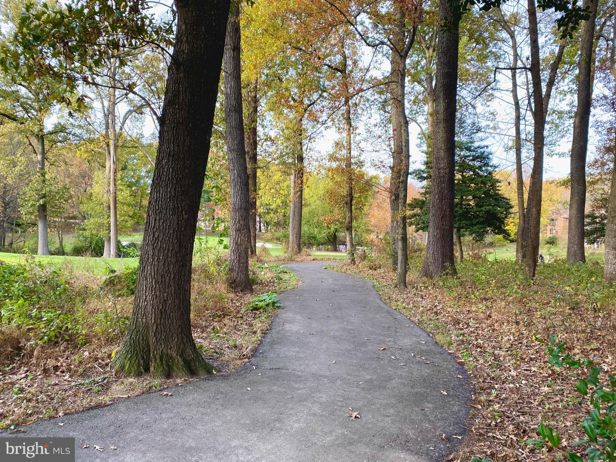 11612 Newbridge Court Reston, VA 20191 - Photo 41 of 55 Lovely Reston trails