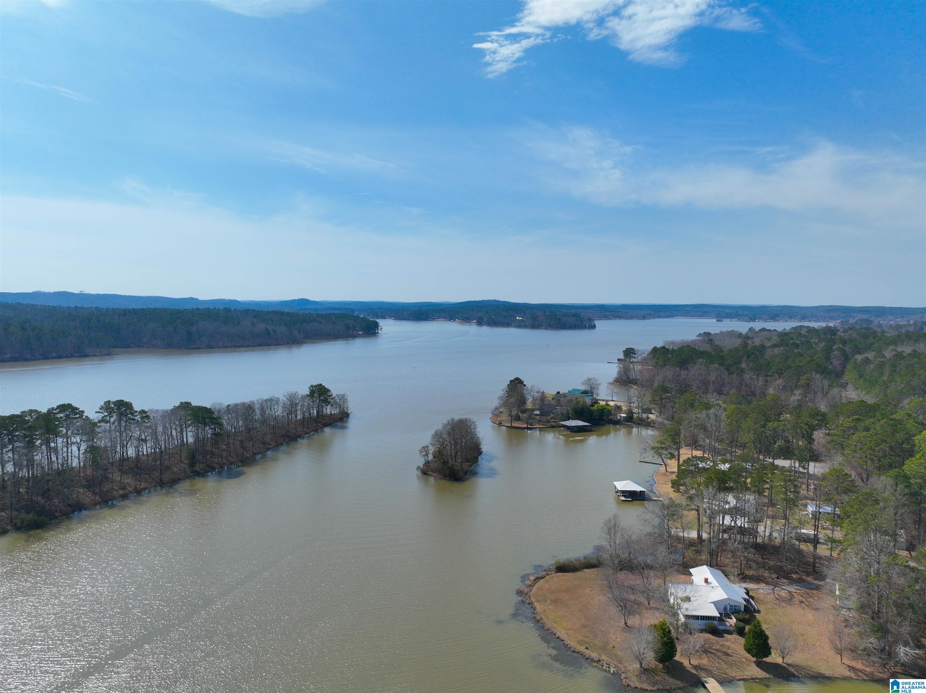 141 Swallow Lane Shelby, AL 35143 - Photo 43 of 54