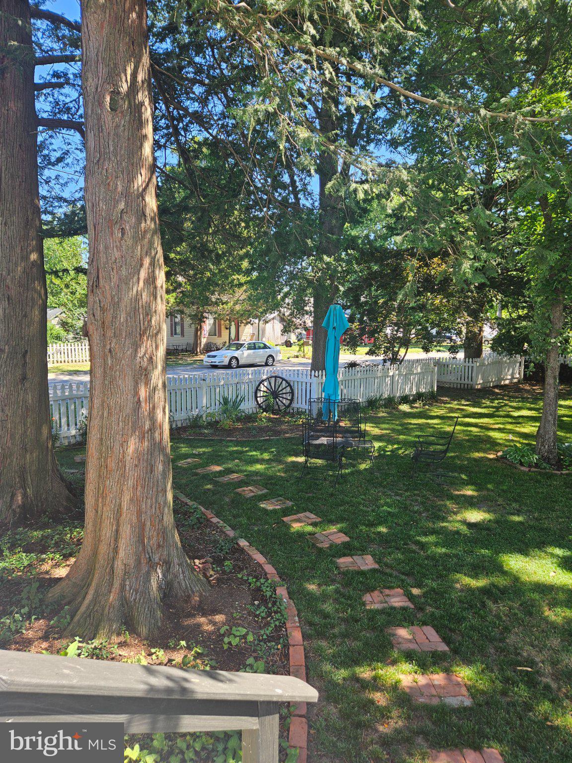 202 Central Avenue Ridgely, MD 21660 - Photo 20 of 22 Charming garden path under tall trees.
