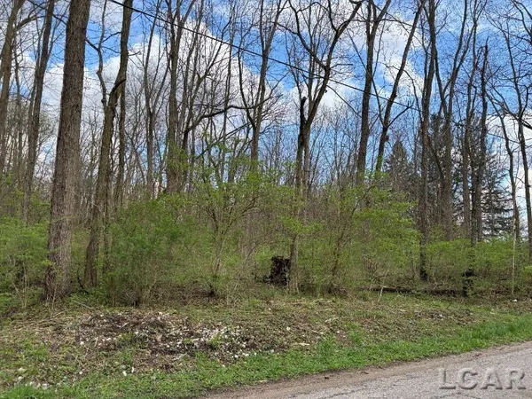 $29,900 | 0 Black Highway, Adrian, MI 49221