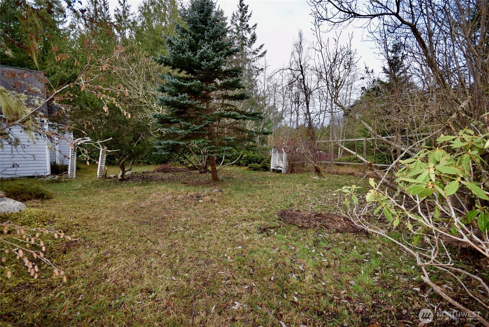 323 Critter Country Trail Sequim, WA 98382 - Photo 31 of 37 a view of a tree in a yard