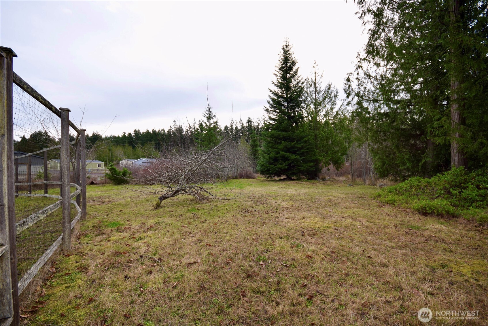 323 Critter Country Trail Sequim, WA 98382 - Photo 35 of 37 a view of a backyard
