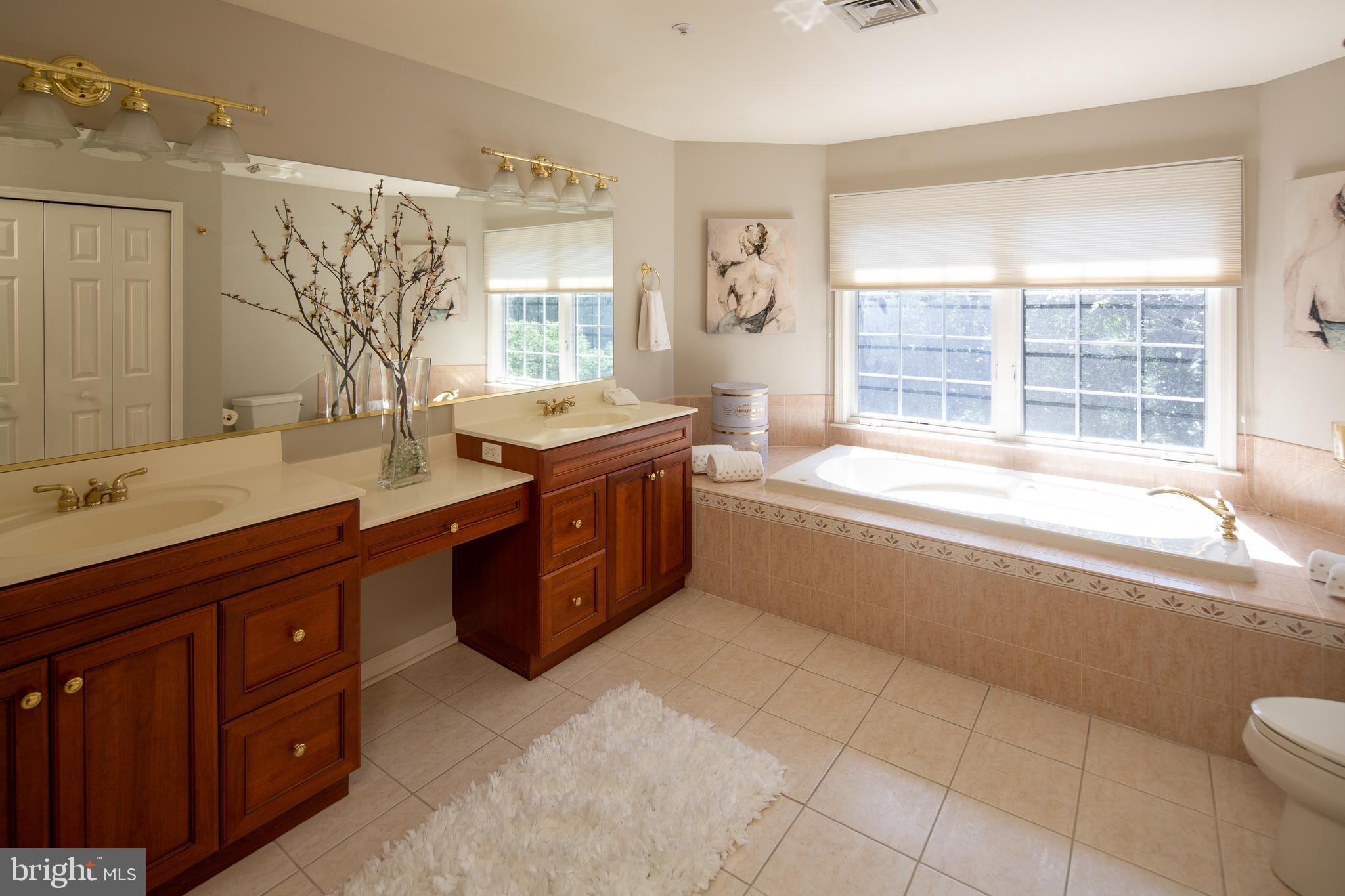 5708 Ridgeview Drive Doylestown, PA 18902 - Photo 20 of 37 Lavish Master Bath . . .