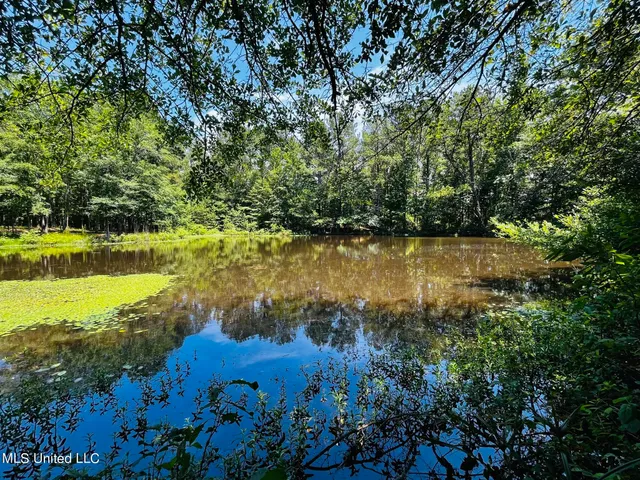 $325,000 | 8625 County Road 5001, Ethel, MS 39067