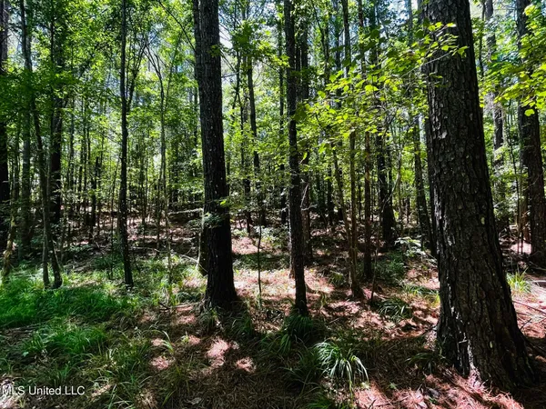 $325,000 | 8625 County Road 5001, Ethel, MS 39067