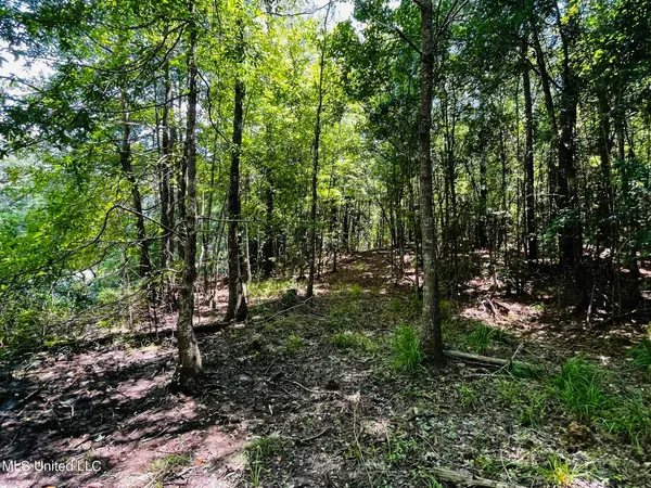 $325,000 | 8625 County Road 5001, Ethel, MS 39067