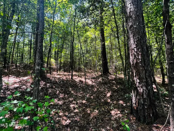 $325,000 | 8625 County Road 5001, Ethel, MS 39067