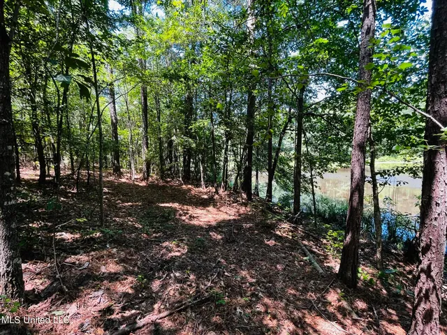 $325,000 | 8625 County Road 5001, Ethel, MS 39067