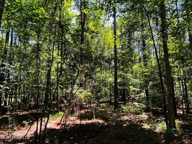 $325,000 | 8625 County Road 5001, Ethel, MS 39067