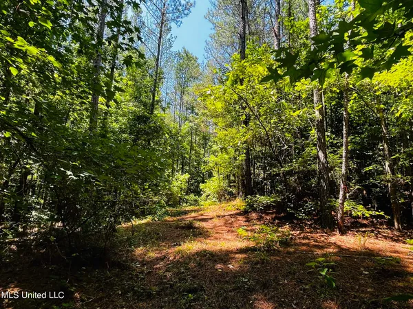 $325,000 | 8625 County Road 5001, Ethel, MS 39067