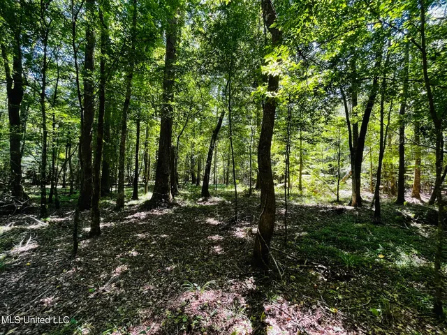 $325,000 | 8625 County Road 5001, Ethel, MS 39067