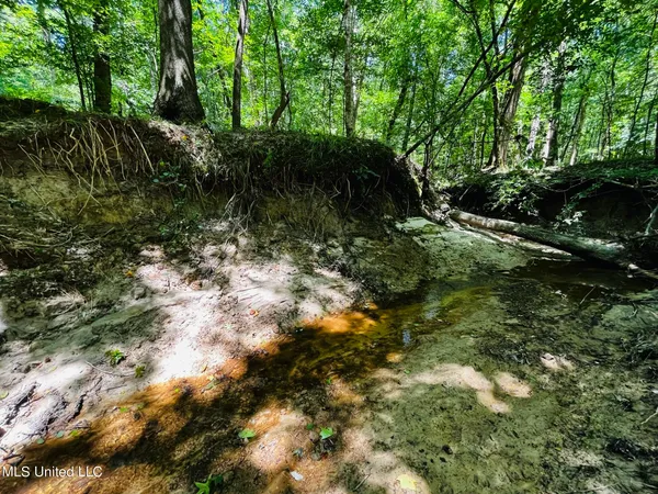 $325,000 | 8625 County Road 5001, Ethel, MS 39067