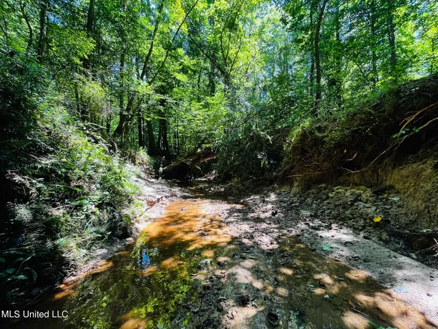 $325,000 | 8625 County Road 5001, Ethel, MS 39067