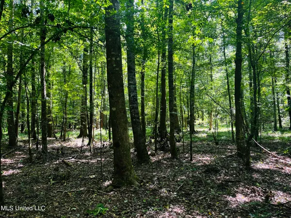 $325,000 | 8625 County Road 5001, Ethel, MS 39067