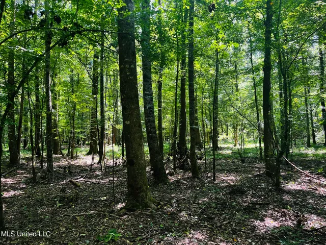 $325,000 | 8625 County Road 5001, Ethel, MS 39067