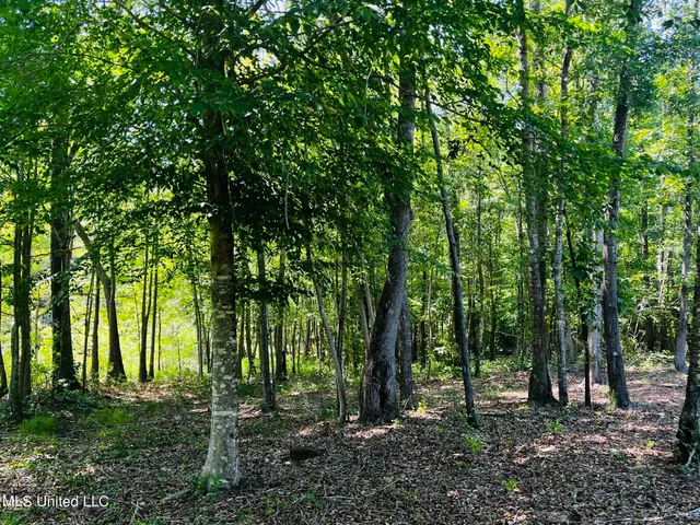 $325,000 | 8625 County Road 5001, Ethel, MS 39067