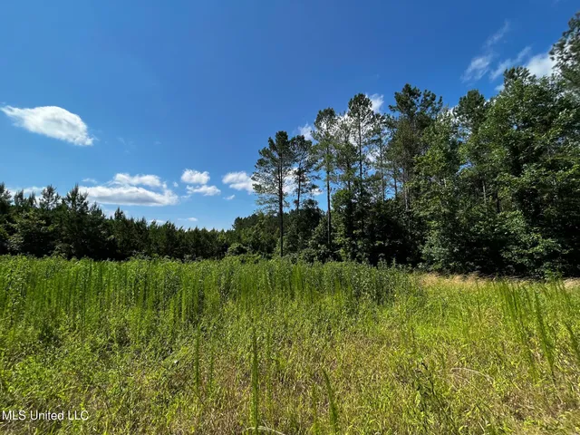 $325,000 | 8625 County Road 5001, Ethel, MS 39067