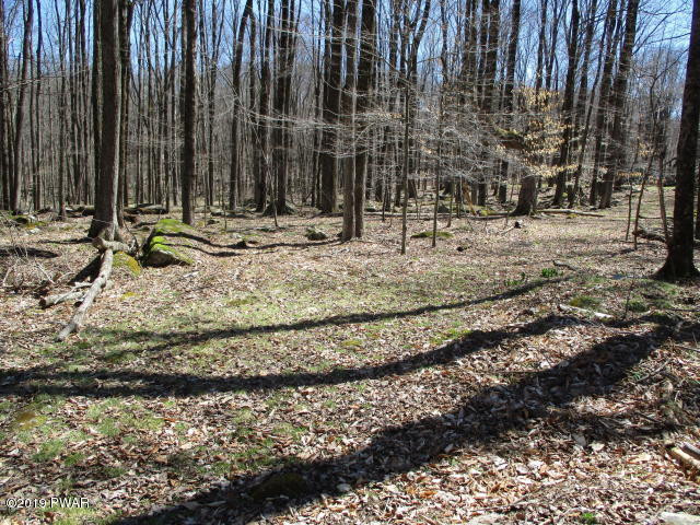 167 Lake Road Lake Ariel, PA 18436 - Photo 11 of 13