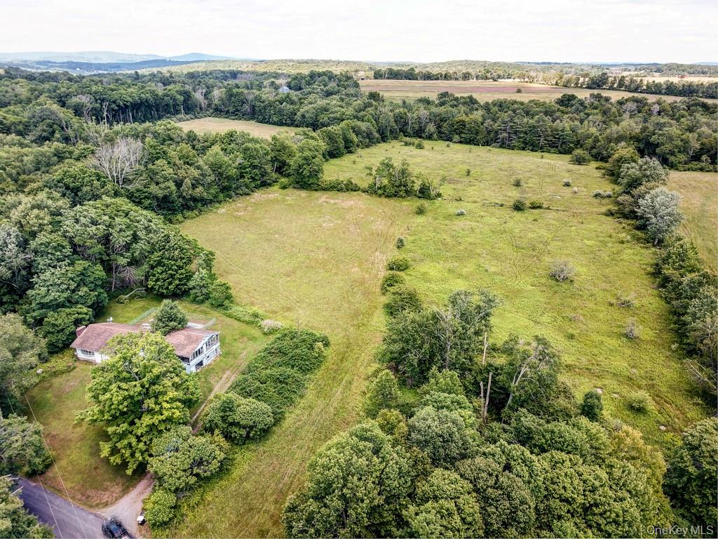 196 Gabriel Road Cochecton, NY 12726 - Photo 5 of 7