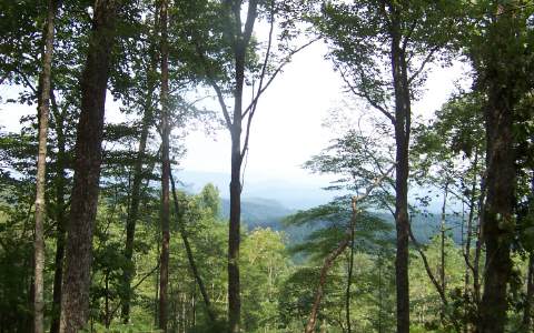 Lot14 Lot14 Deer Ridge Murphy, NC 28906 - Photo 1 of 1 Main View