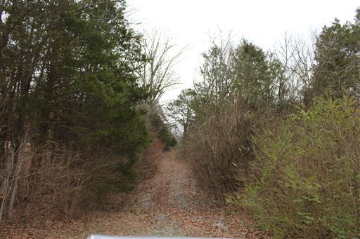 1 Cane Ridge Road Antioch, TN 37013 - Photo 1 of 1 a view of a yard with a tree