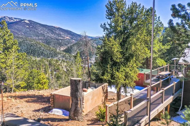 a view of a forest with a mountain