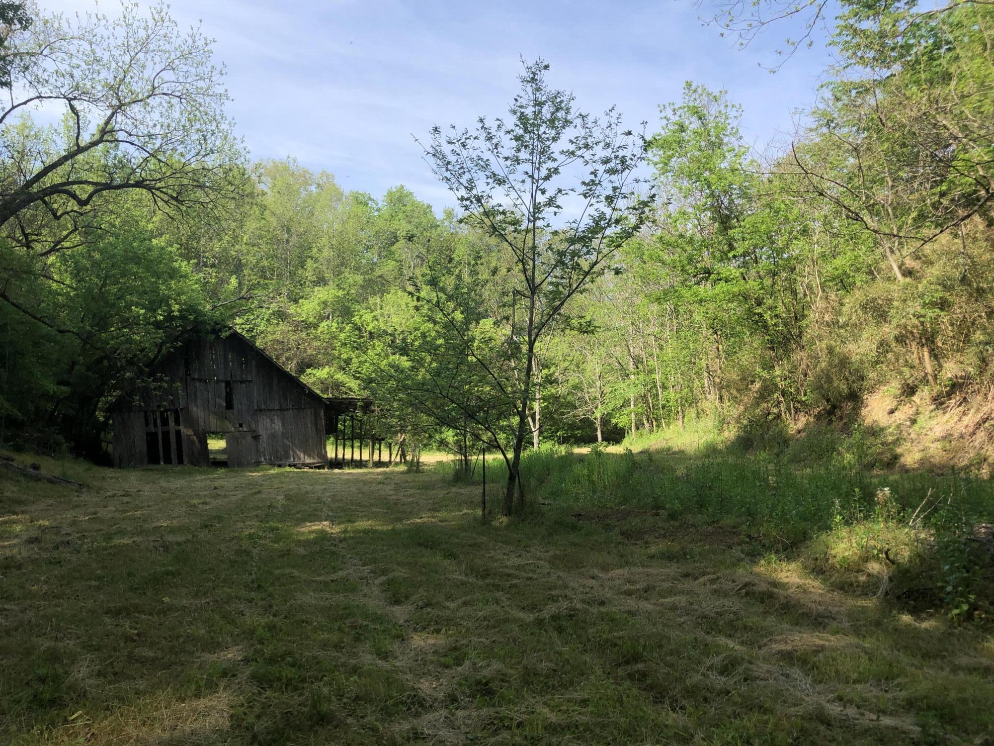 2810 Knob Creek Road Bybee, TN 37713 - Photo 1 of 51 IMG_9672