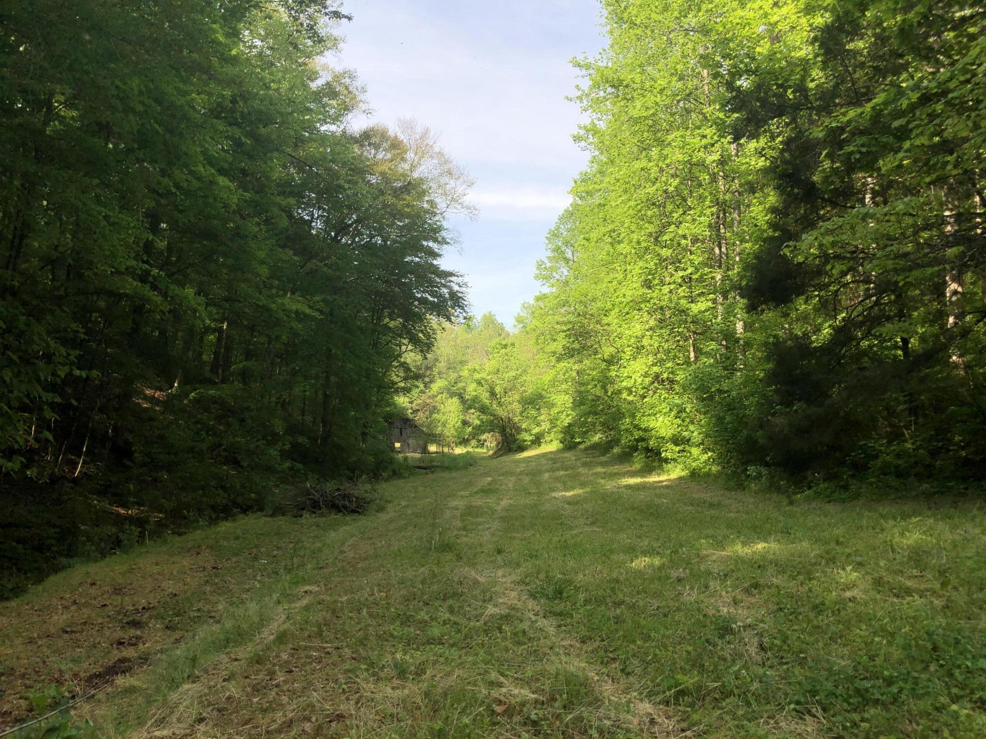 2810 Knob Creek Road Bybee, TN 37713 - Photo 2 of 51 IMG_9683