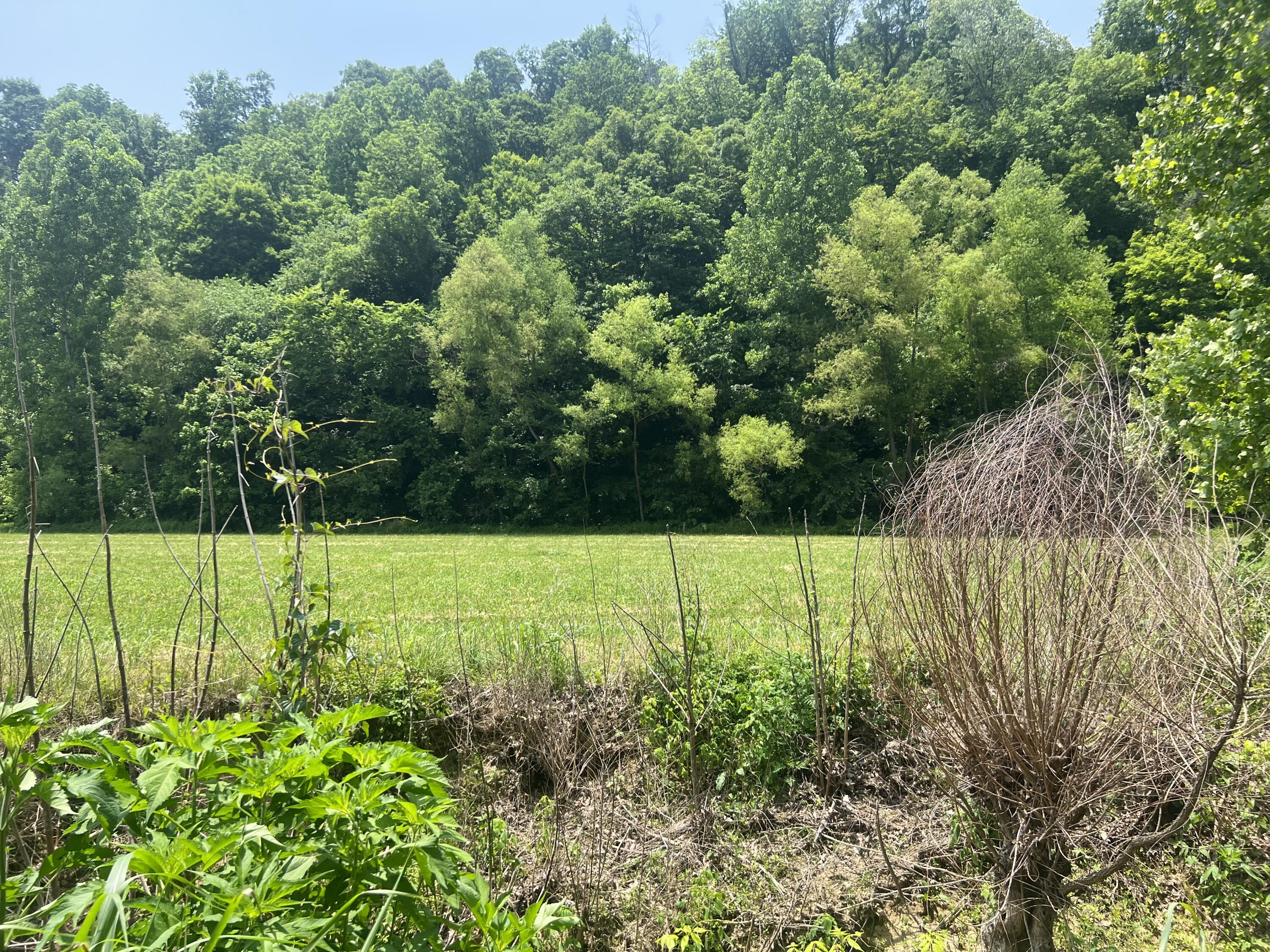 2810 Knob Creek Road Bybee, TN 37713 - Photo 26 of 51 IMG_2559