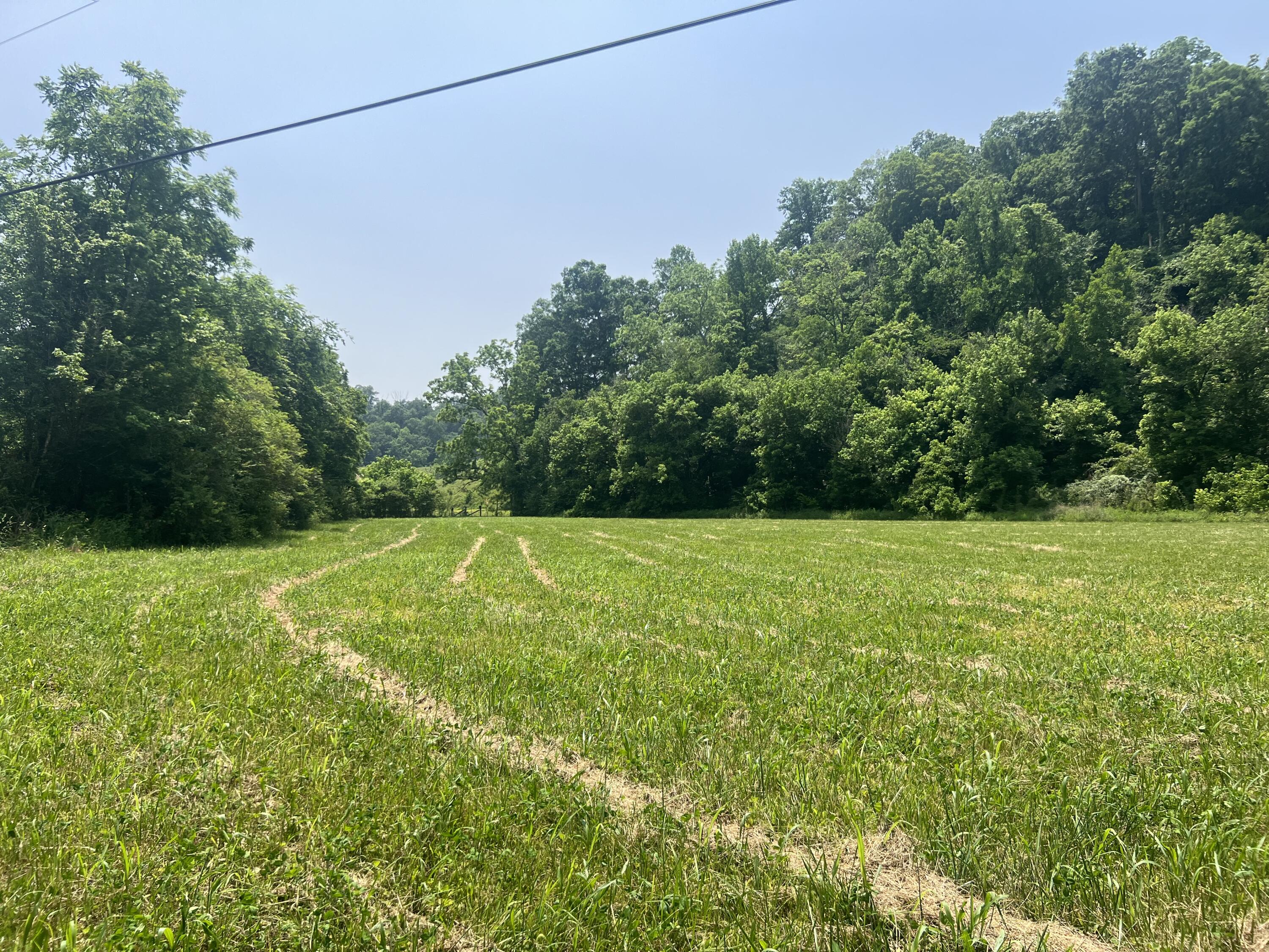 2810 Knob Creek Road Bybee, TN 37713 - Photo 29 of 51 IMG_2557