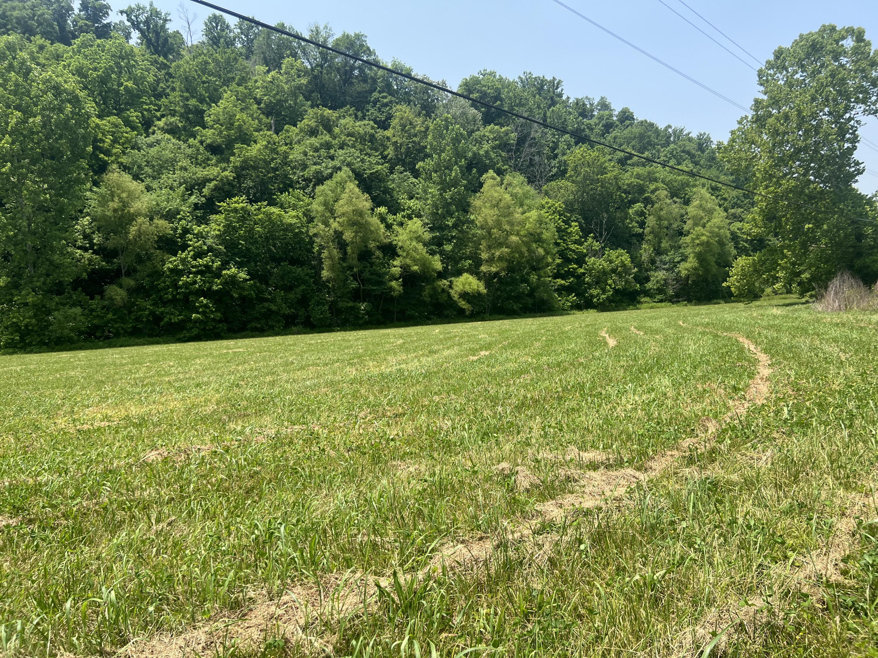 2810 Knob Creek Road Bybee, TN 37713 - Photo 31 of 51 IMG_2555