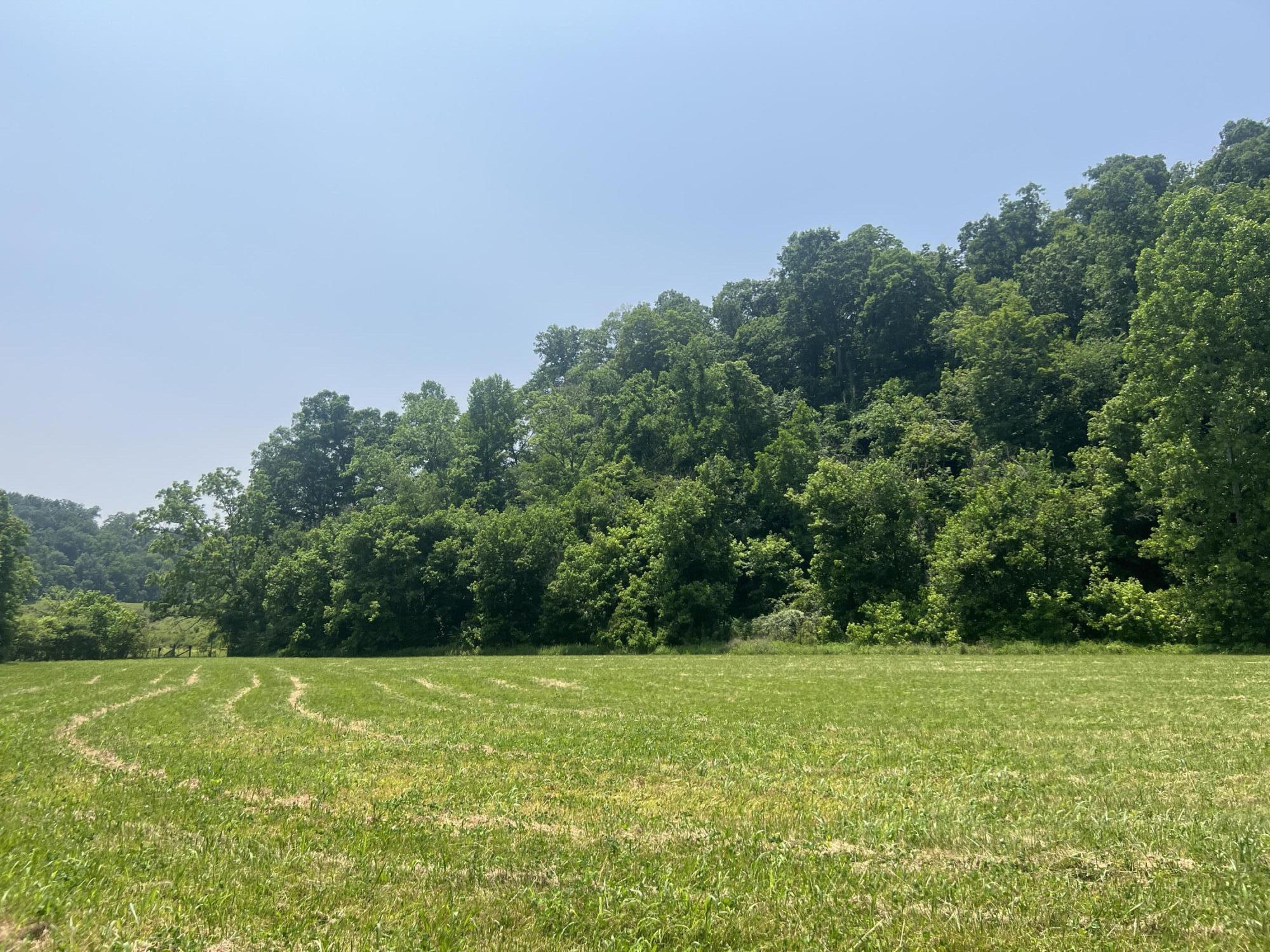 2810 Knob Creek Road Bybee, TN 37713 - Photo 32 of 51 IMG_2554