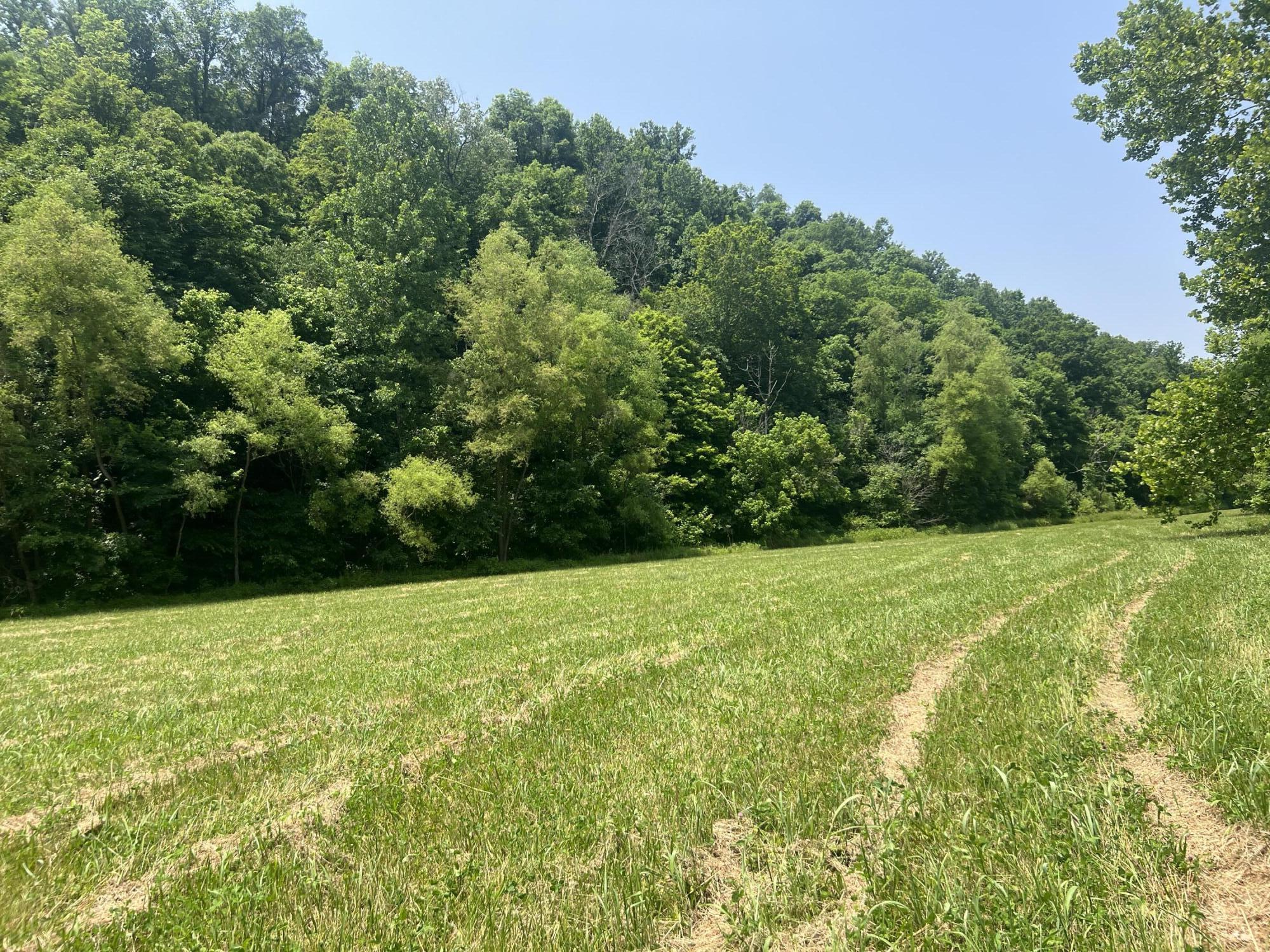 2810 Knob Creek Road Bybee, TN 37713 - Photo 34 of 51 IMG_2552