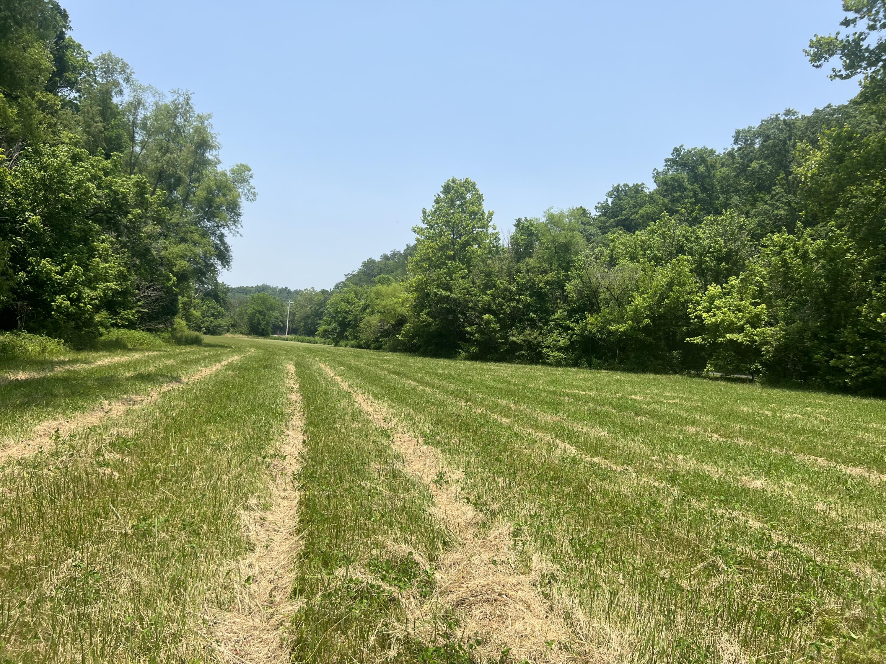 2810 Knob Creek Road Bybee, TN 37713 - Photo 35 of 51 IMG_2551