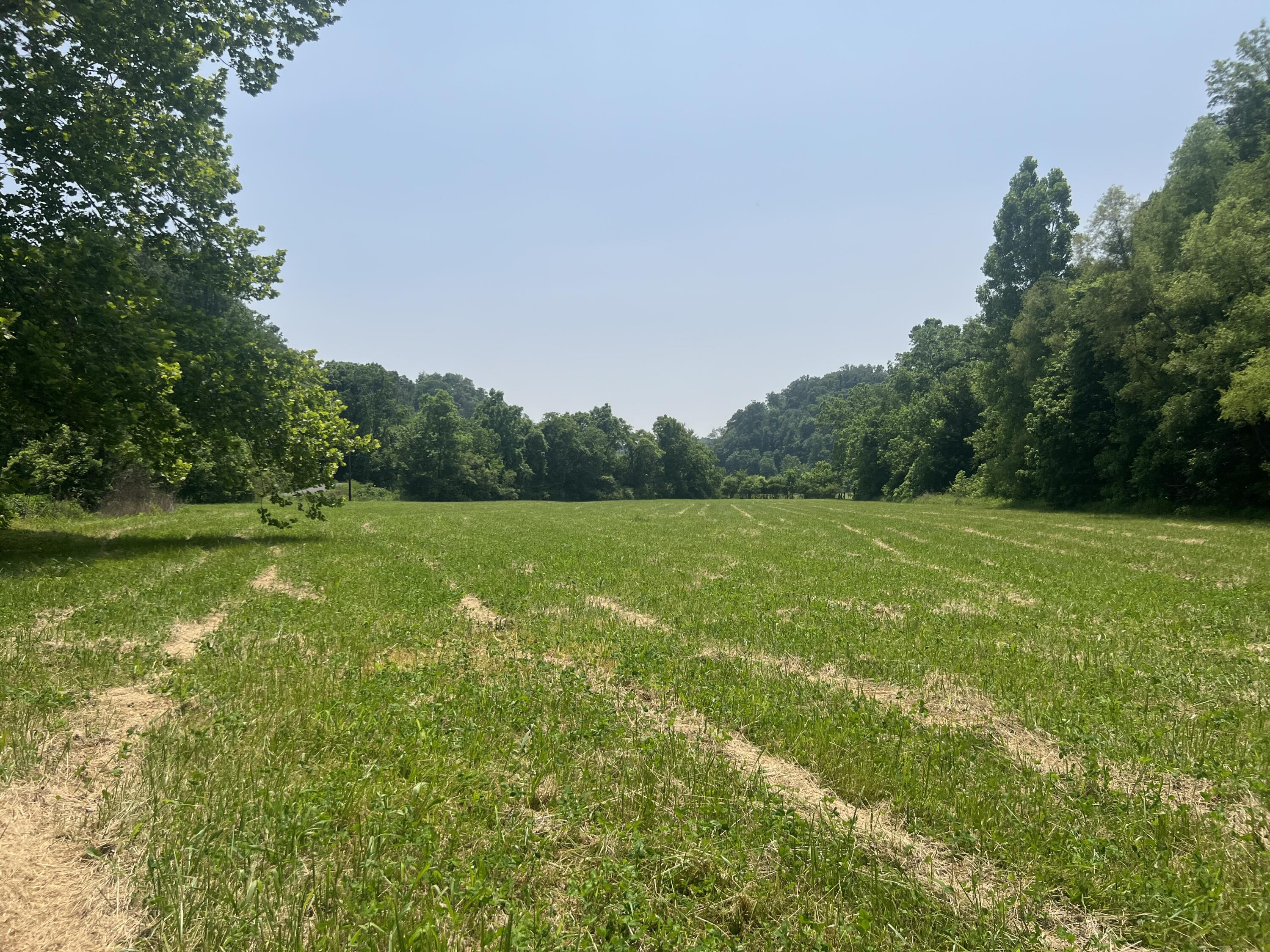 2810 Knob Creek Road Bybee, TN 37713 - Photo 38 of 51 IMG_2548