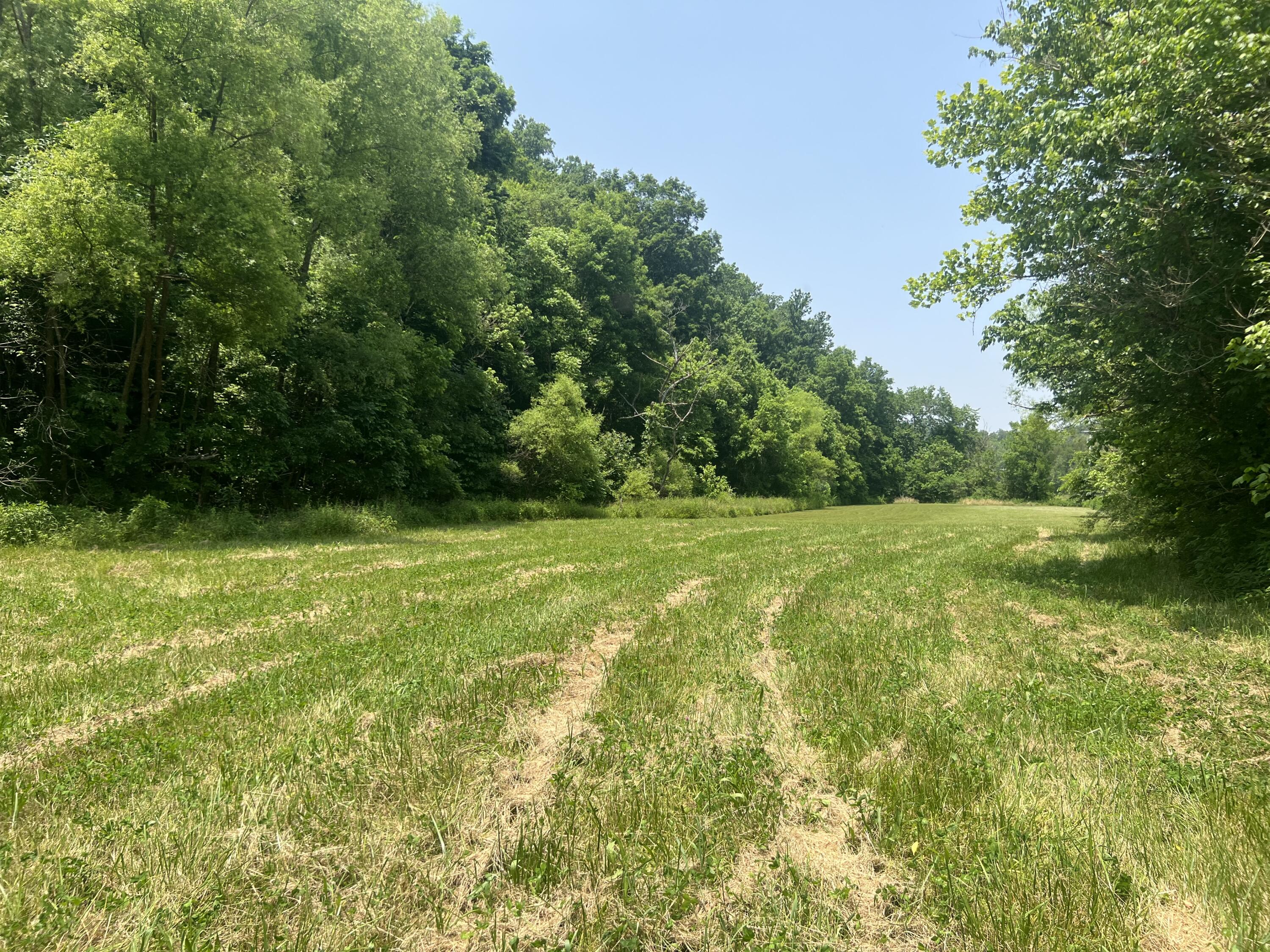 2810 Knob Creek Road Bybee, TN 37713 - Photo 39 of 51 IMG_2547