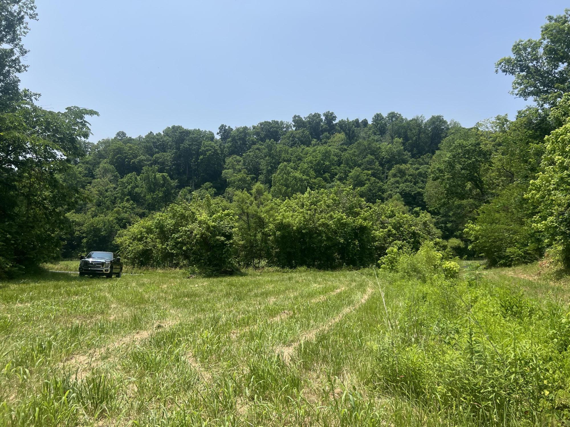 2810 Knob Creek Road Bybee, TN 37713 - Photo 6 of 51 IMG_2536