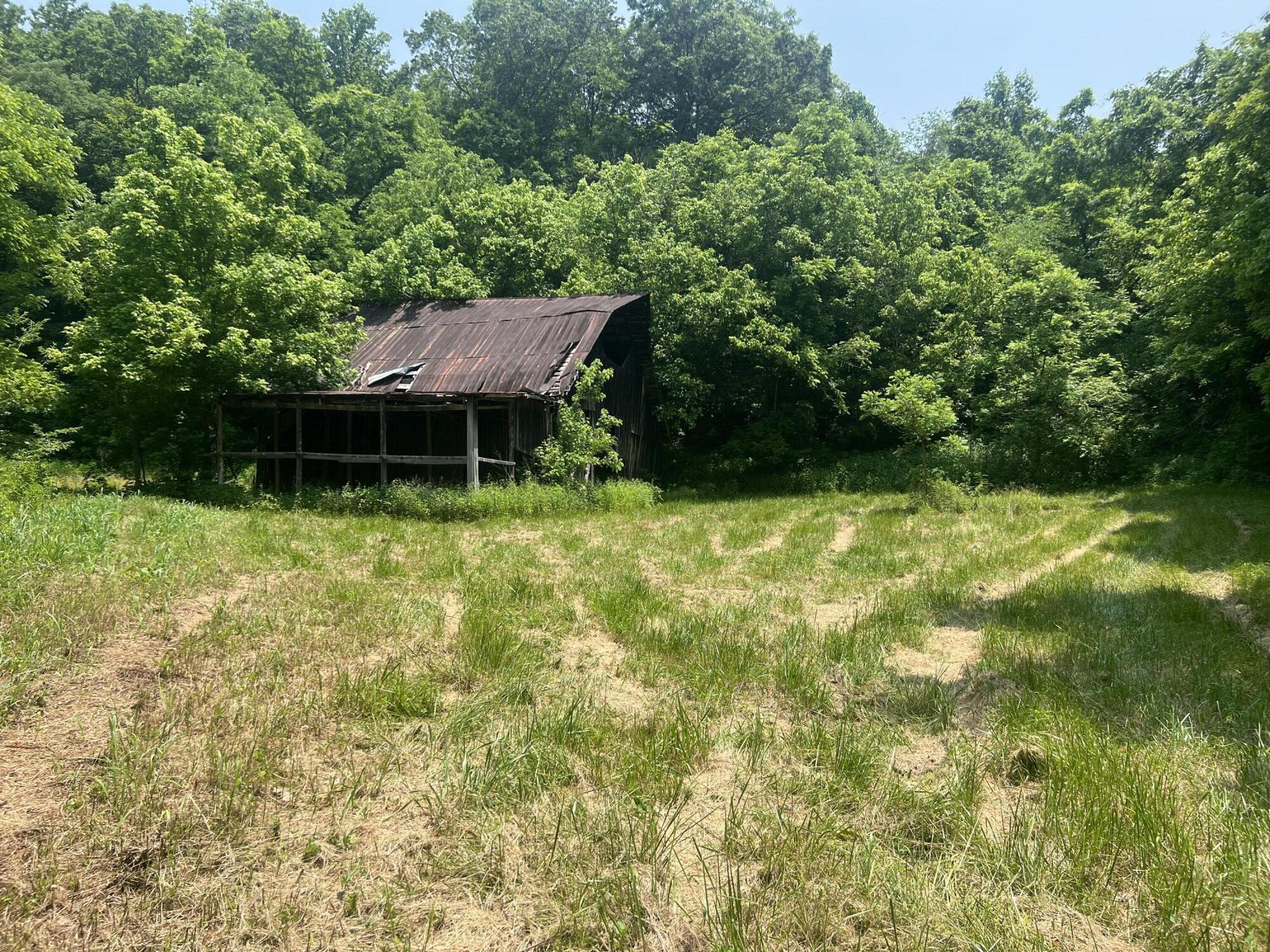 2810 Knob Creek Road Bybee, TN 37713 - Photo 7 of 51 IMG_2537