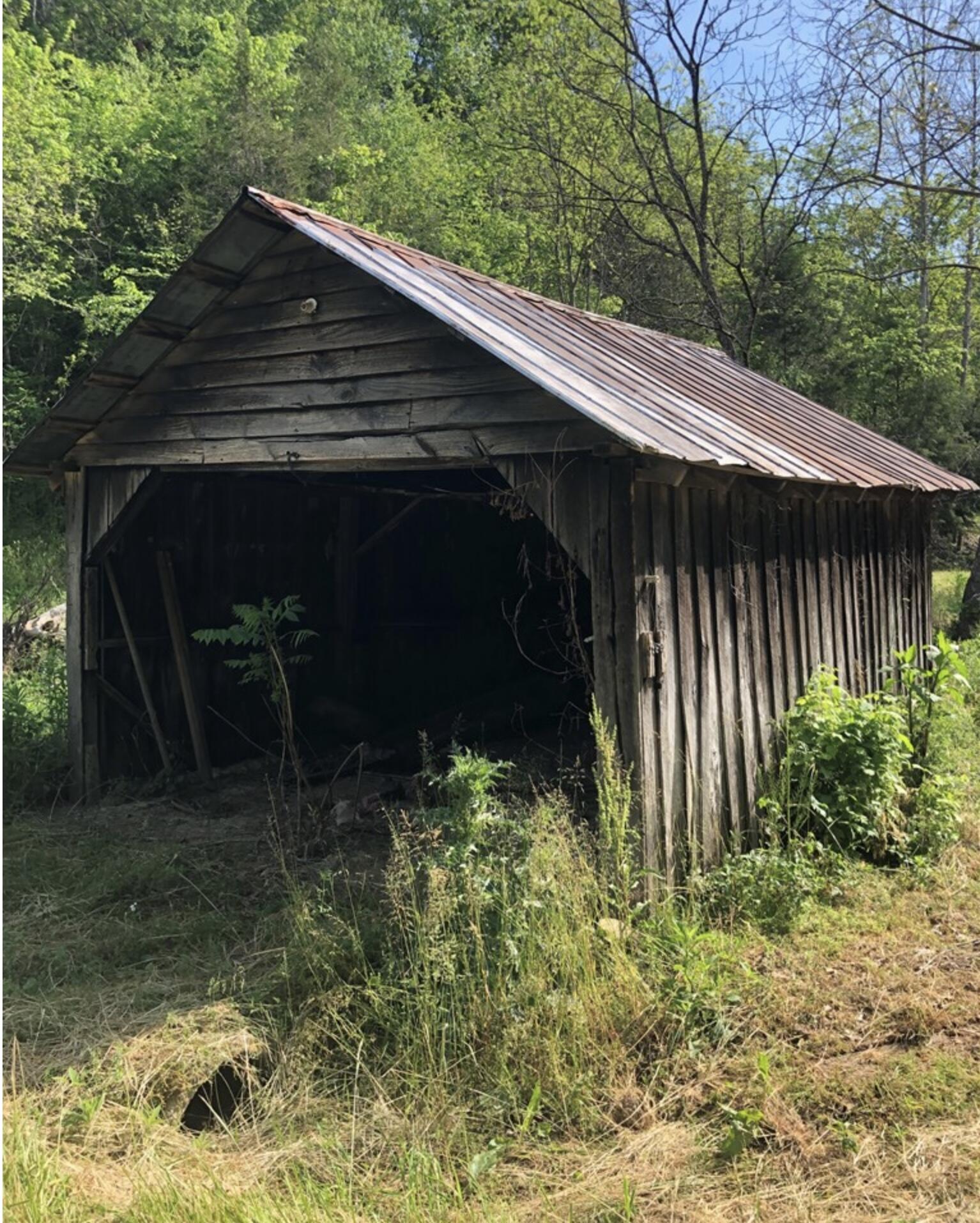 2810 Knob Creek Road Bybee, TN 37713 - Photo 10 of 51 IMG_2283