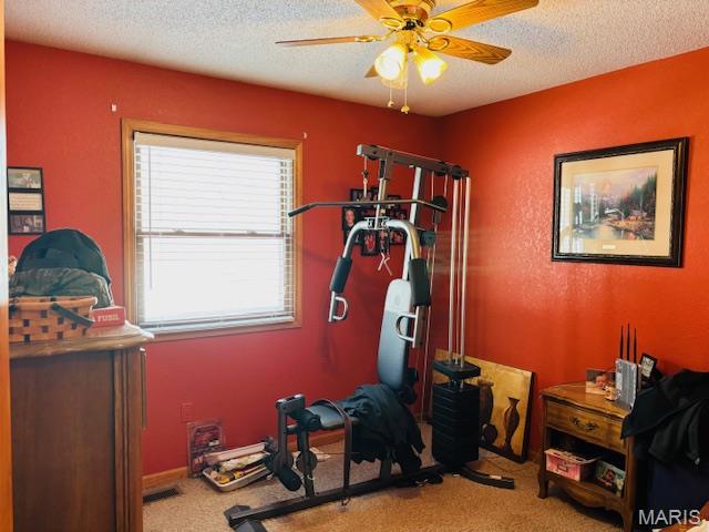 207 Center Point Road Steelville, MO 65565 - Photo 36 of 92